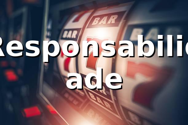 zz999 - Responsabilidade